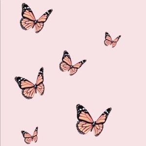 Meet your Posher, Gracie